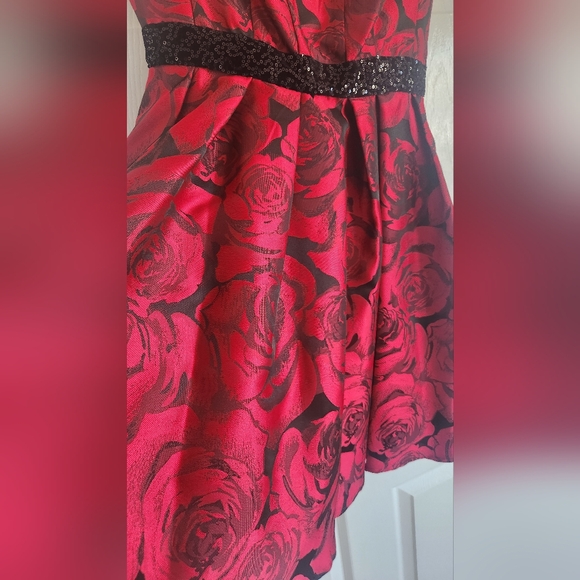 Donna Ricco Roses Dress - Picture 3 of 9